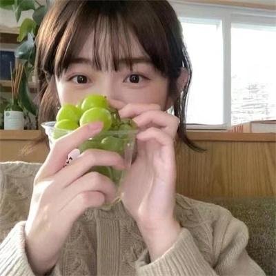 狼殿下封面