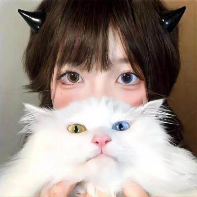 层间声音封面
