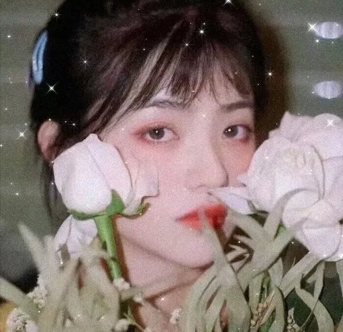隔窗未了缘封面